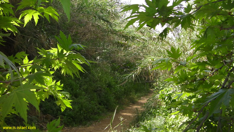 SANY0319