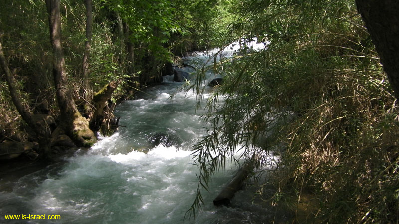 SANY0326