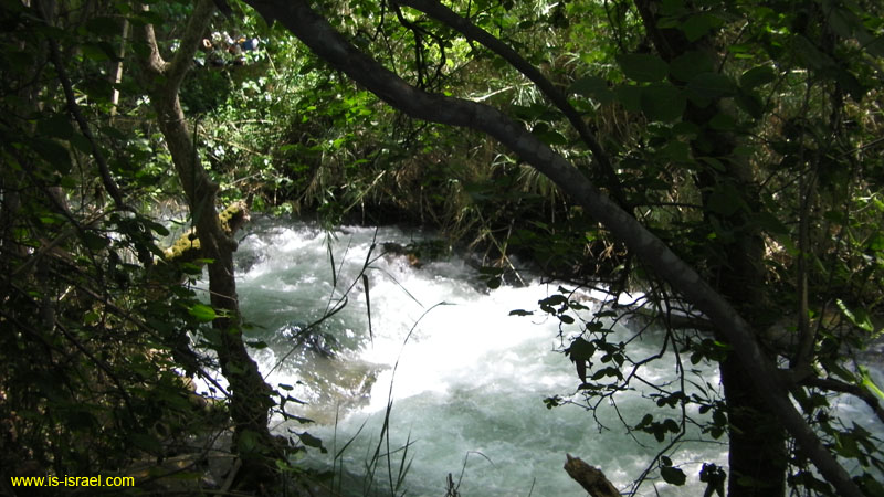 SANY0328