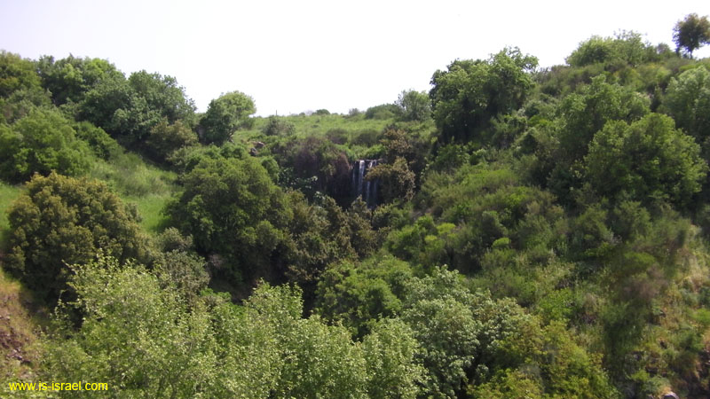SANY0331