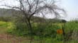 SANY0313