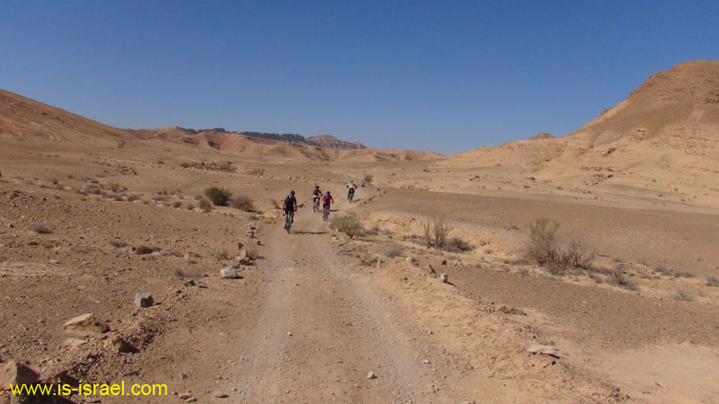 DSC00901