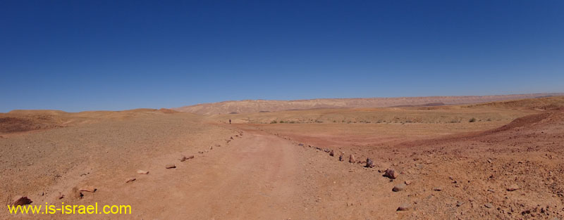 DSC00902