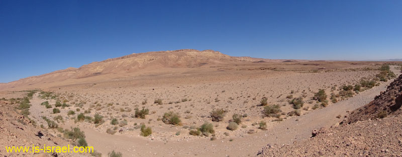 DSC00905