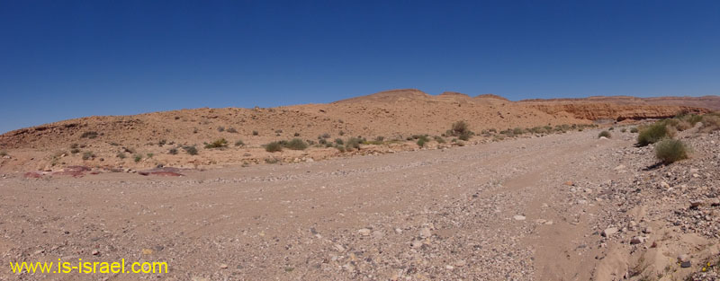 DSC00910