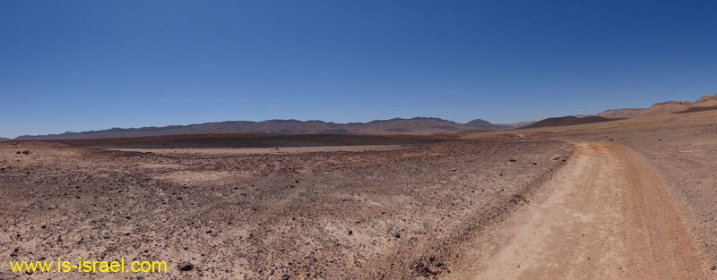 DSC00925