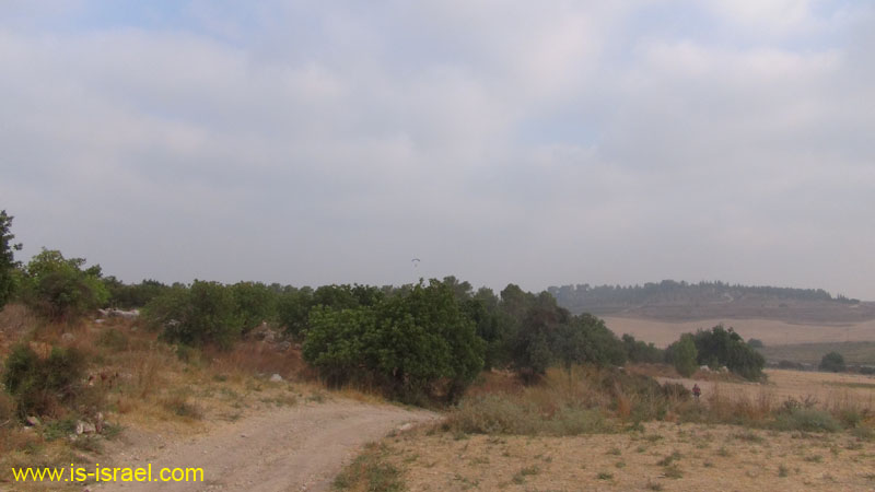 DSC06986