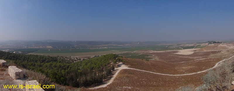 DSC07008