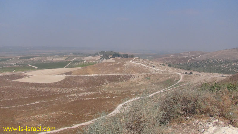 DSC07010