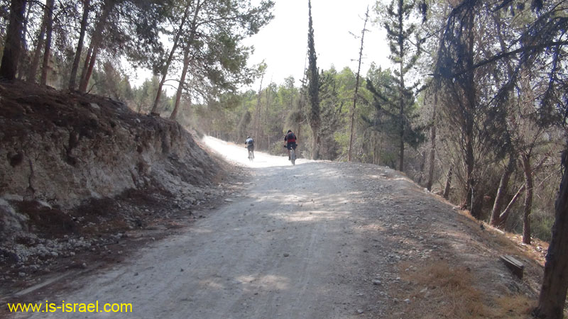 DSC07017
