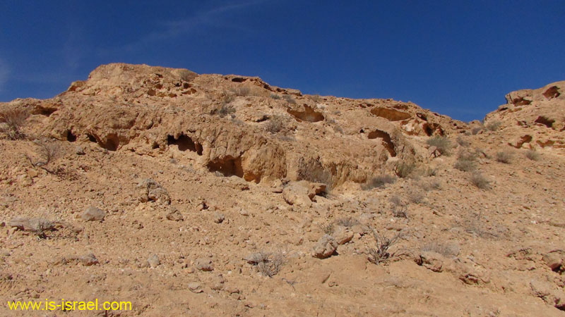 DSC04037