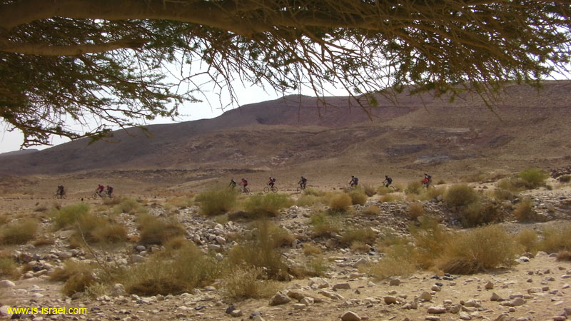 SANY0885