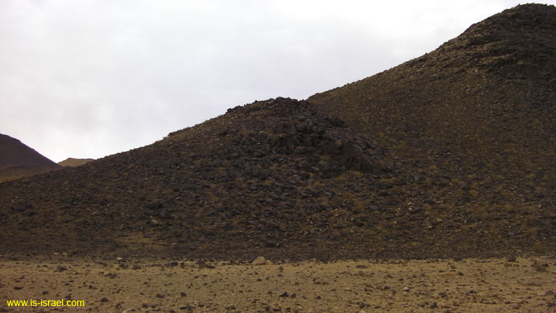 SANY0500