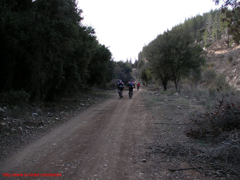 SANY2710