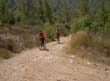PICT8227