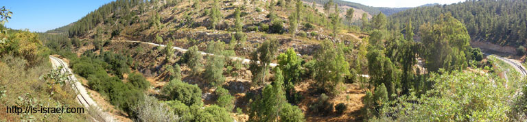 panorama1