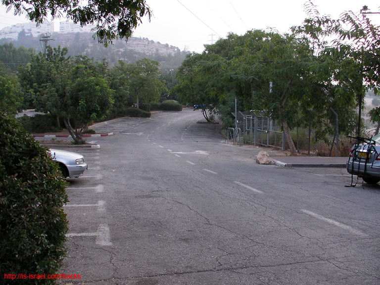 SANY9365