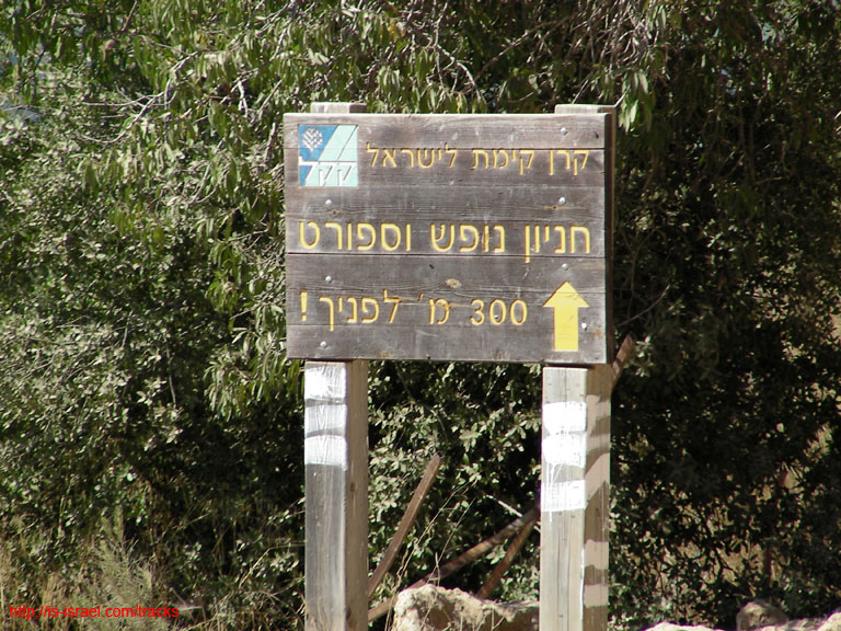SANY9480