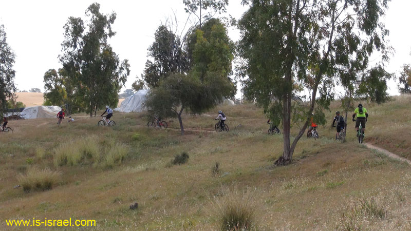 DSC01870