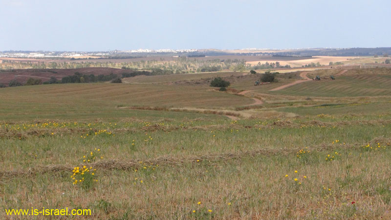 DSC01886
