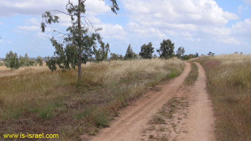 DSC01937