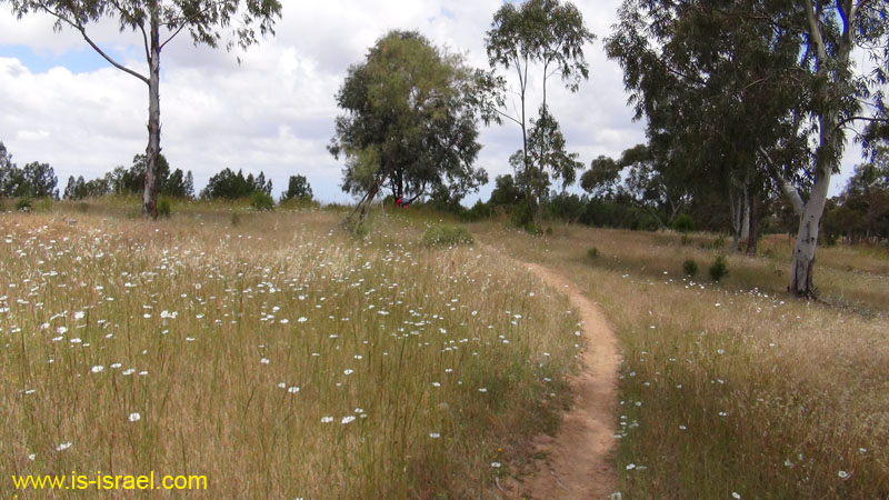 DSC01987