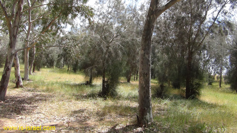 DSC02014
