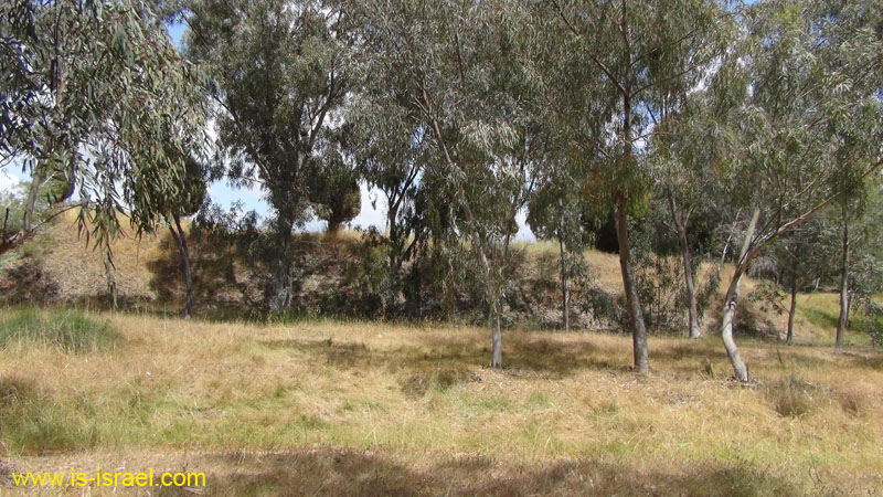 DSC02015