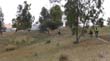 DSC01870