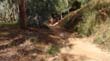 DSC01905