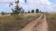 DSC01937