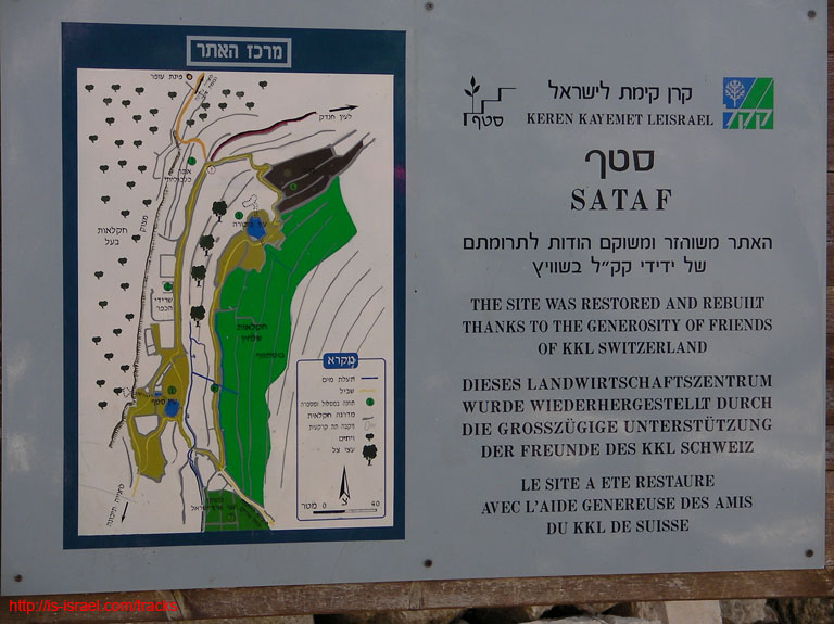 SANY8780
