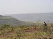 SANY3605