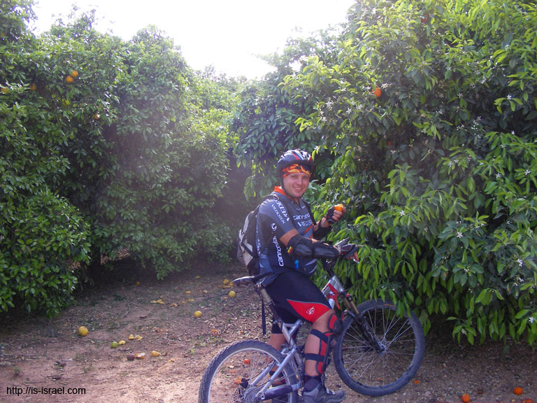 SANY5724