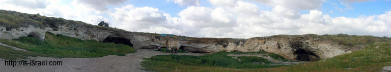 panorama1