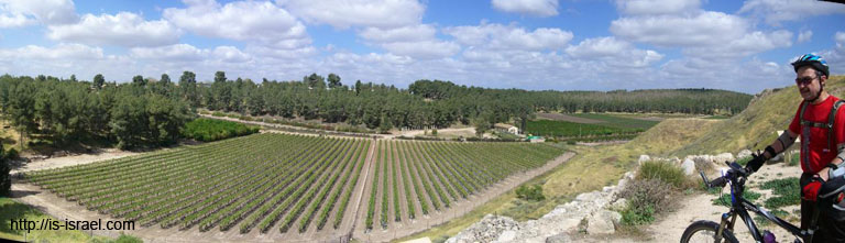 panorama2