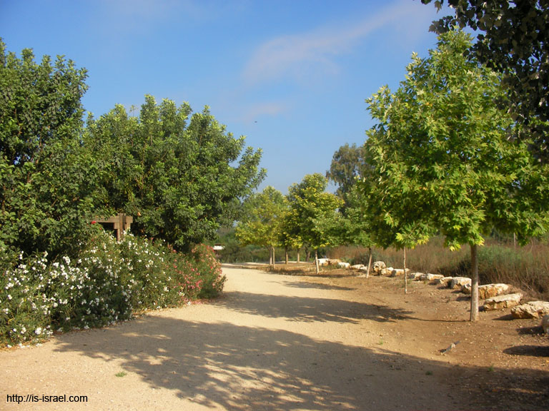 SANY7485