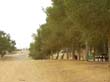 SANY1515