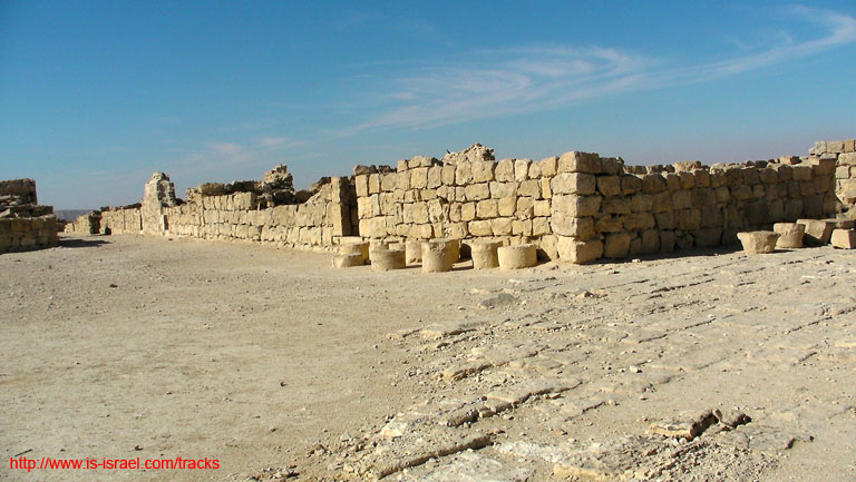 SANY3974