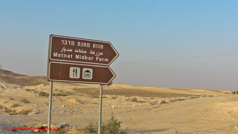 SANY4094