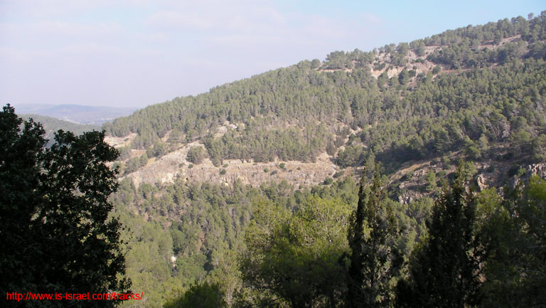 SANY3279