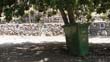 SANY3451