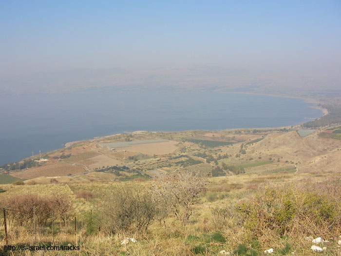 SANY0931
