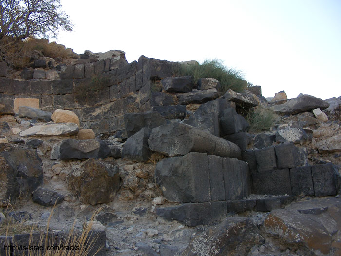 SANY1024