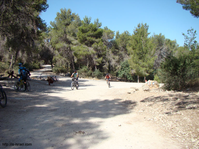 DSC09040