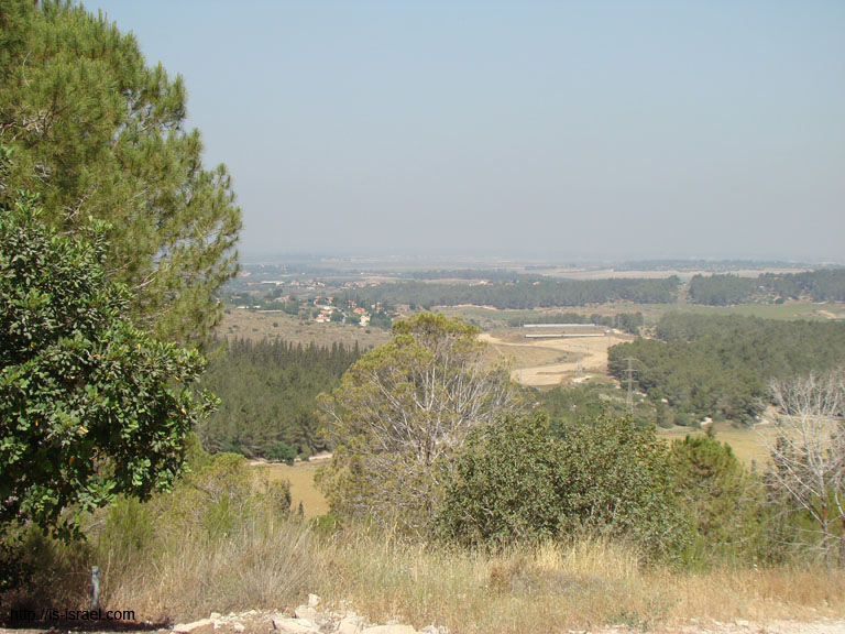 DSC09047