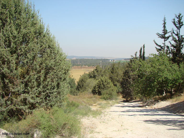 DSC09051