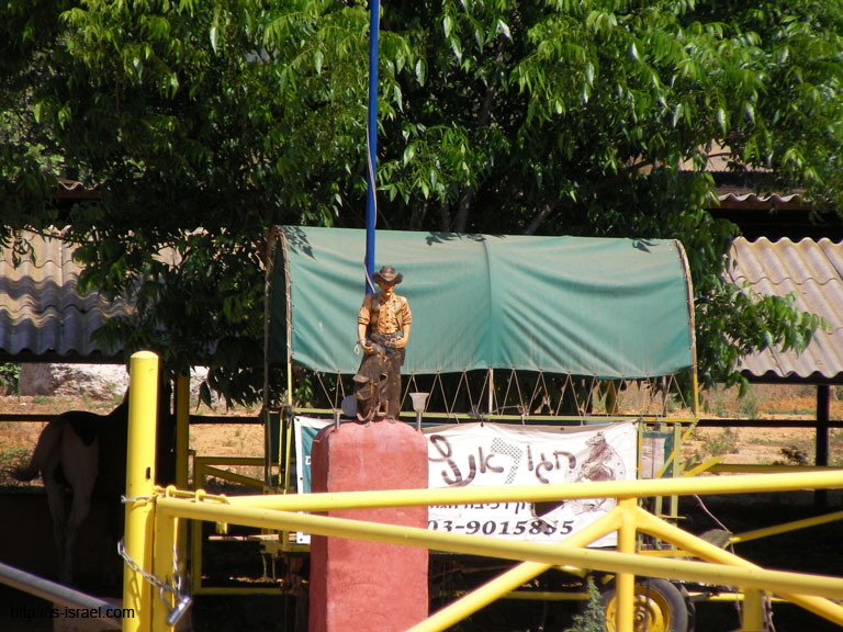 SANY7302