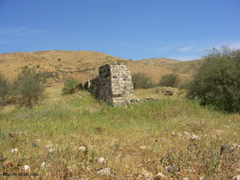 SANY5645