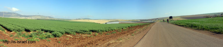 panorama1